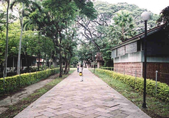 Strolling down the lane toward the North side of the campus